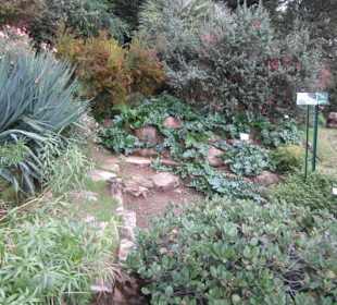 Botanischer Garten Bergamo