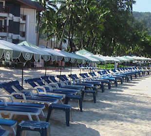 Sehr viele Liegen am Sandstrand