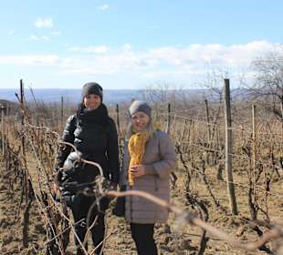 Wandern Tiflis / Tbilisi