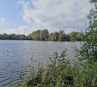 Rundgang um den Drielaker See