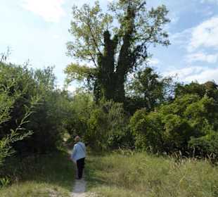  Mallertshofener Heide