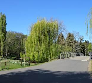 Rundgang durch den Bürgerpark Braunschweig