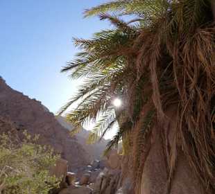 Private Jeep Safari mit Your Private TOURS EGYPT