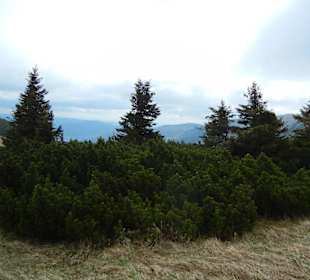 Karkonoski Park Narodowy