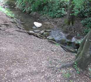 Krügerpark