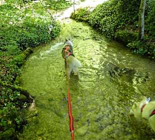 Baden