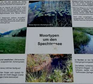 Geschichte der Moorarten