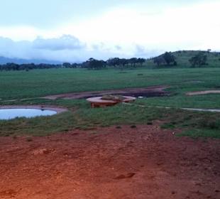 Sarova Salt Lick Game Lodge