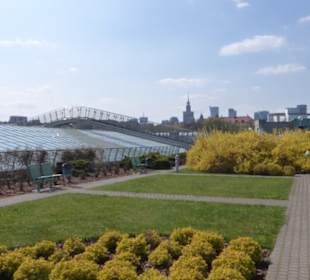 Auf dem Dachgarten der Universitätsbibliothek