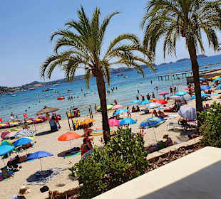 Strand Paguera/Peguera