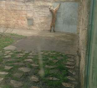 Zoo Ohrada Hluboká nad Vltavou