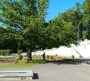 Park Kadriorg