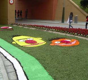 Alfombras florales Burela