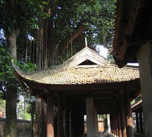 Die Schildkröten-Stelen unter dem Pavillon