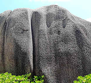 Inselrundfahrt La Digue
