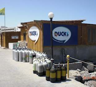 Ducks Diving Center