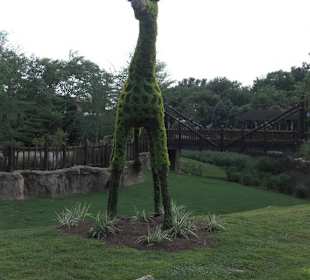 Parkanlage / wunscherschön angelegt Botanik