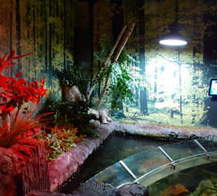 Sea-Life Aquarium in Speyer