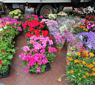 Eindrücke vom Wochenmarkt Nuoro