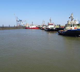 Eindrücke aus dem Schlepperhafen