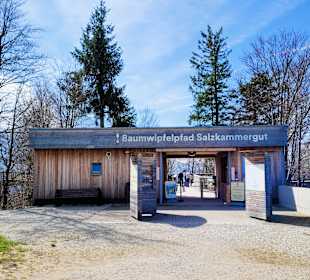 Eingang Baumwipfelpfad