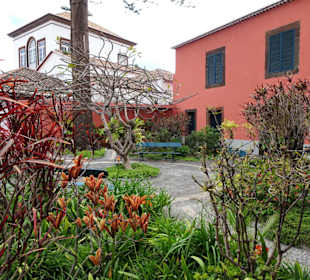 Blick vom Garten auf das Gebäude