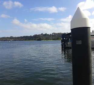 Swan River
