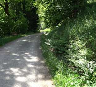 Wanderung Klosterquelle Klosterreichenbach