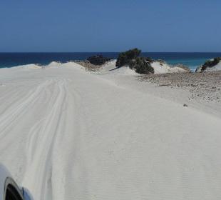 Weg zum Schiffswrack