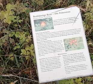 Schaugarten Eninger Weide