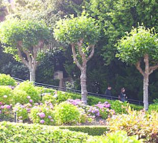 Lombard Street