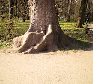 Łazienki Królewskie