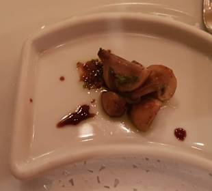 Menü - Appetizer