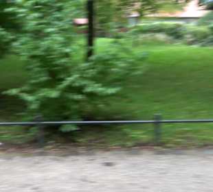 Kurpark Herrsching am Ammersee