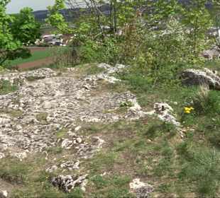 Wallersteiner Felsen