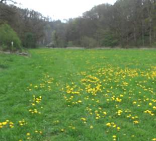 Burgfelsenpfad