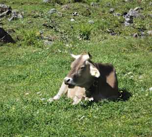 Irgendwo unterwegs (bei Ganeu)