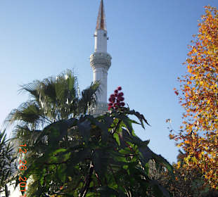 Moschee in Gönük
