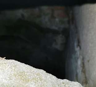 Hier konnte ich in die Gruft rein