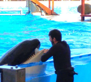 Loro Parque