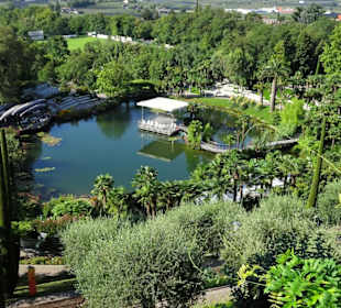 Der Seerosensee in den Gärten