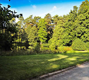 Кладбище Ольсдорф, Гамбург, 16 сентября 2013 года