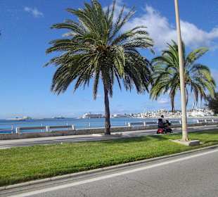Hafen mit Kreuzfahrtschiffen in Palma 