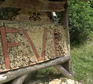 Wanderrunde Emeringen zum Rechtenstein
