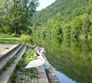 Direkt vor der Haustür: die Nahe mit dem Kurpark