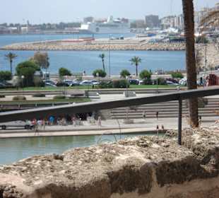 Blick von der Kathedrale in Palma