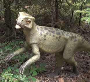 Dinosaurier Museum Altmühltal