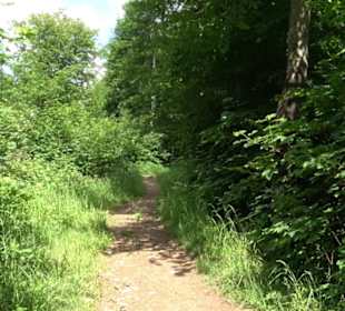 Premiumwanderweg "hochgelegen"