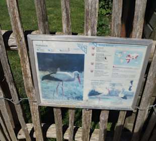 Zoo Arche Noah Grömitz