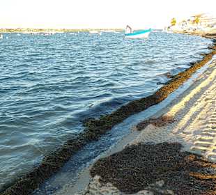 Ilha da Armona  